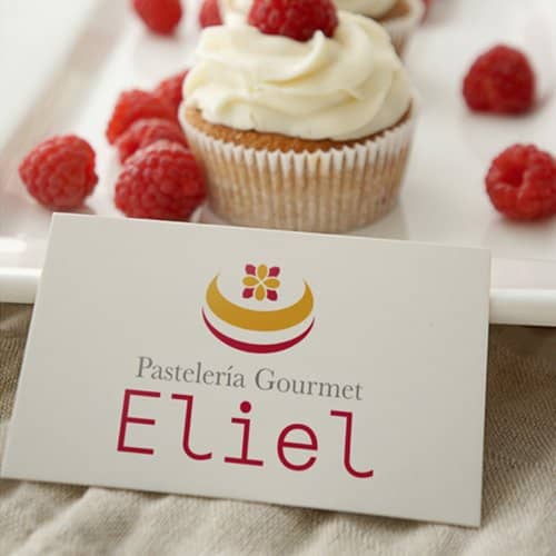 Diseño de logotipo para empresa Eliel