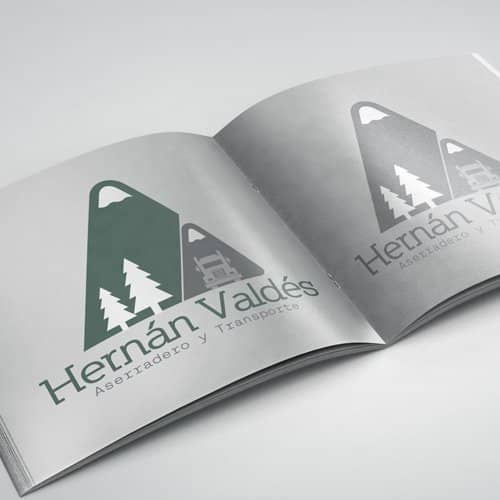 Diseño de logotipo para empresa Hernán Valdes