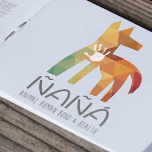 Diseño de logotipo para empresa Ñaña